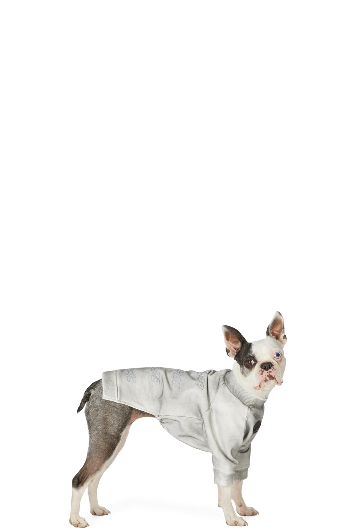 SSENSE Exclusive Grey Logo Sweatshirt