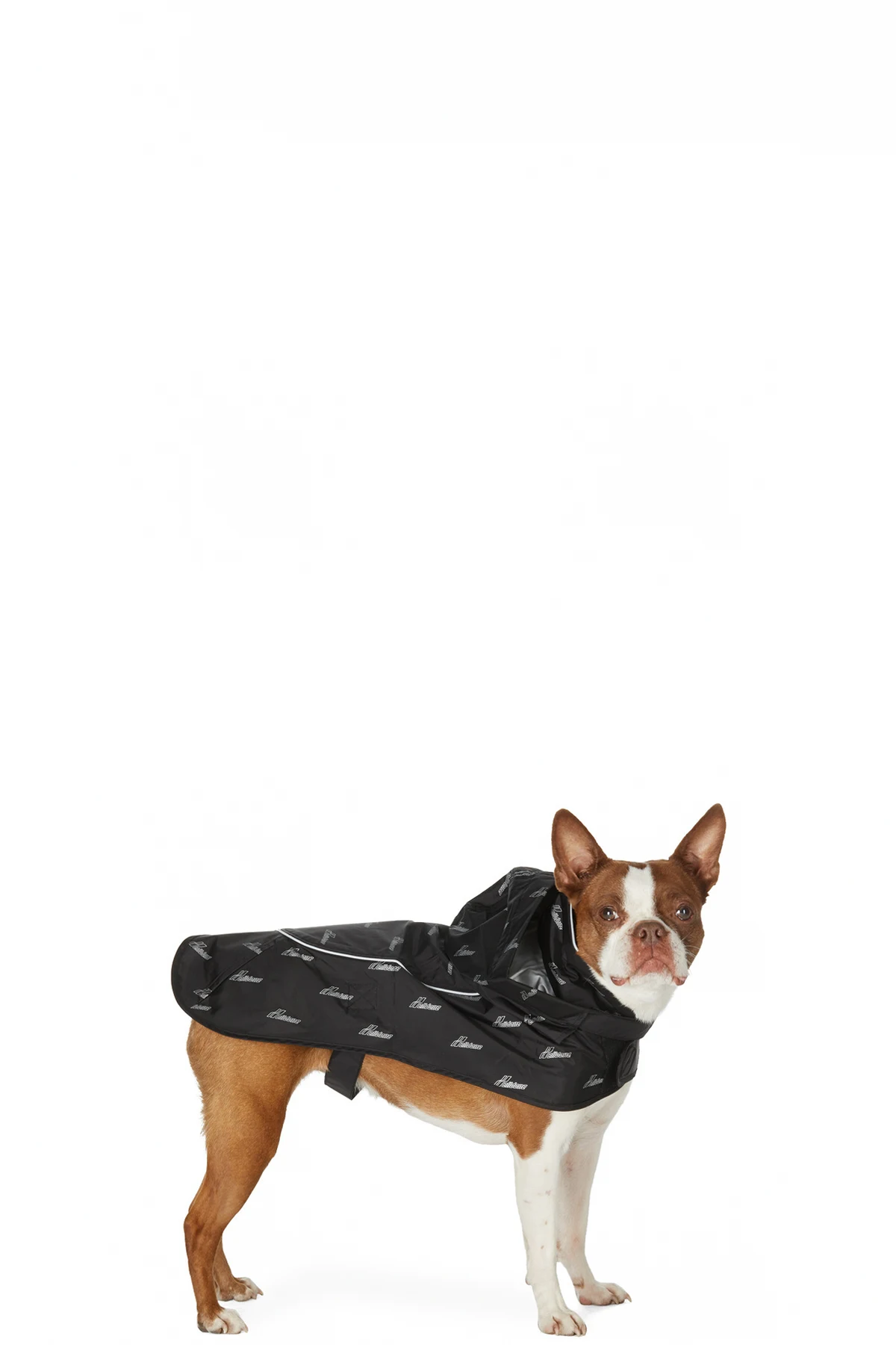 SSENSE Exclusive Black & Silver Logo Windbreaker Jacket