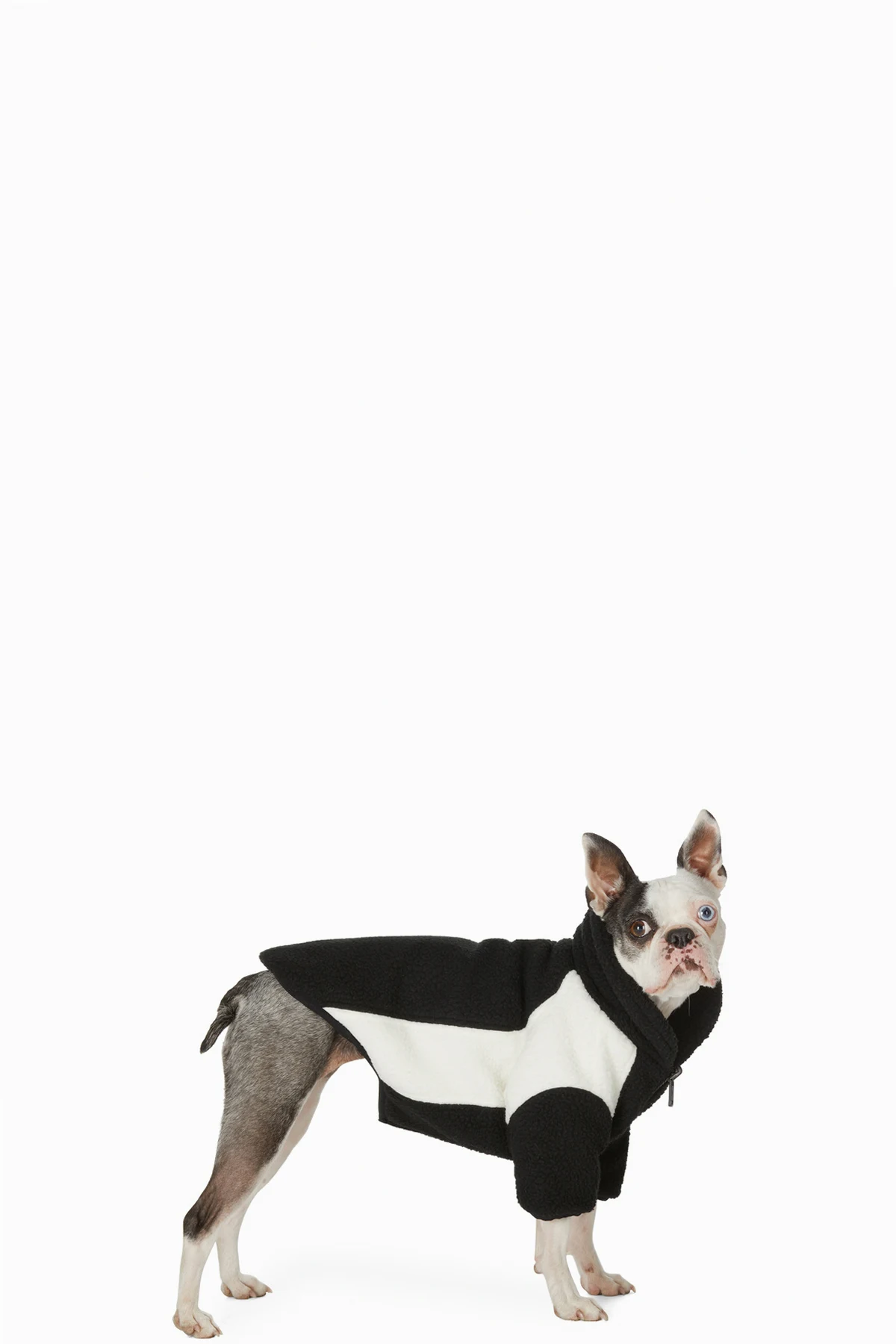 SSENSE Exclusive Reversible Black & Off-White Oversized Fleece Dog Jacket