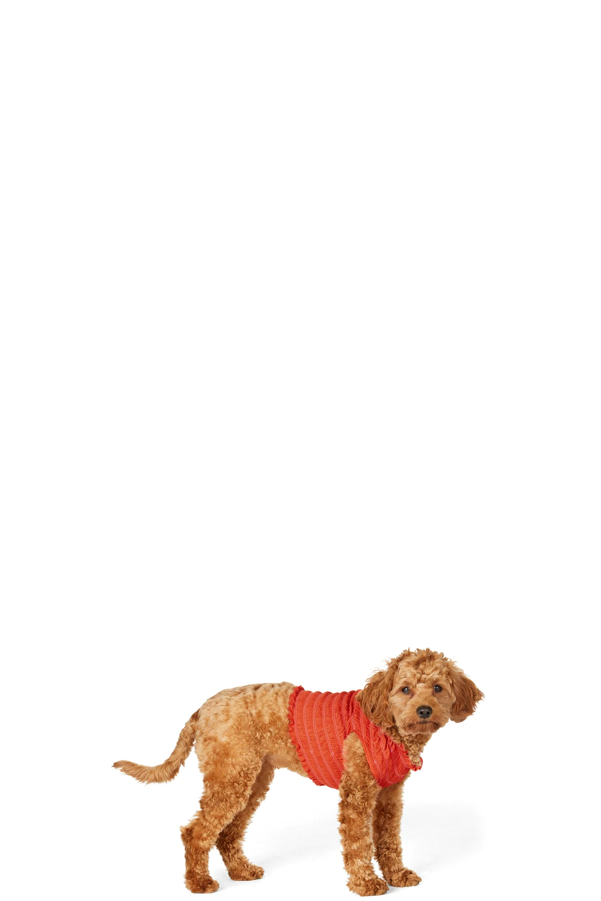 SSENSE Exclusive Red Elastic Sweater