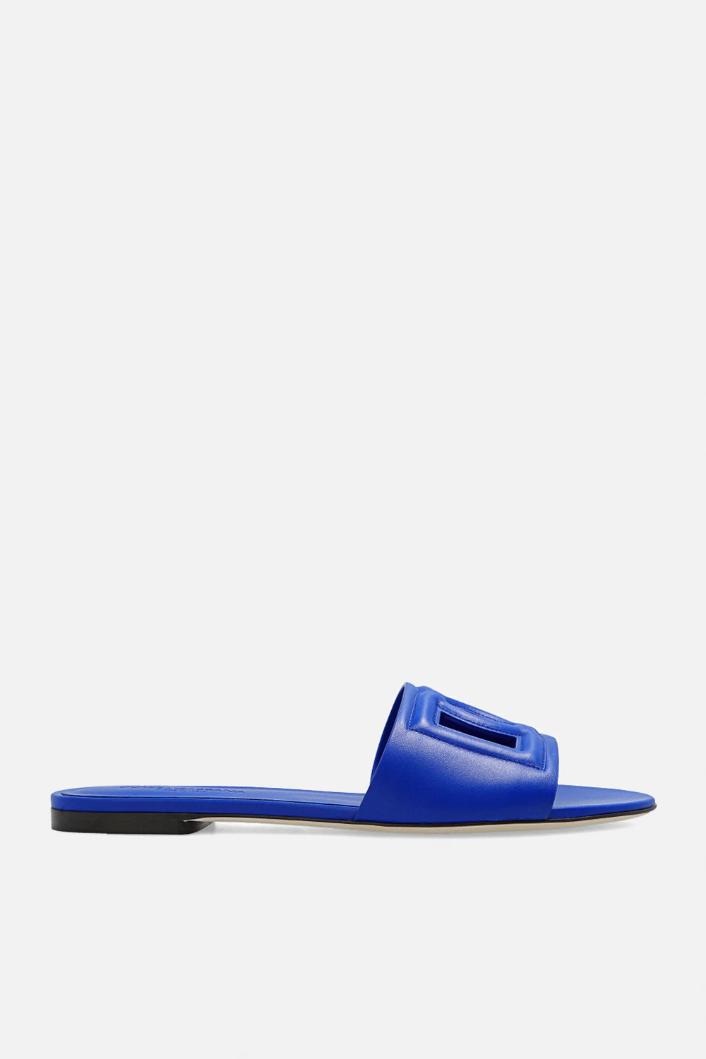 BLUE Slides with logo