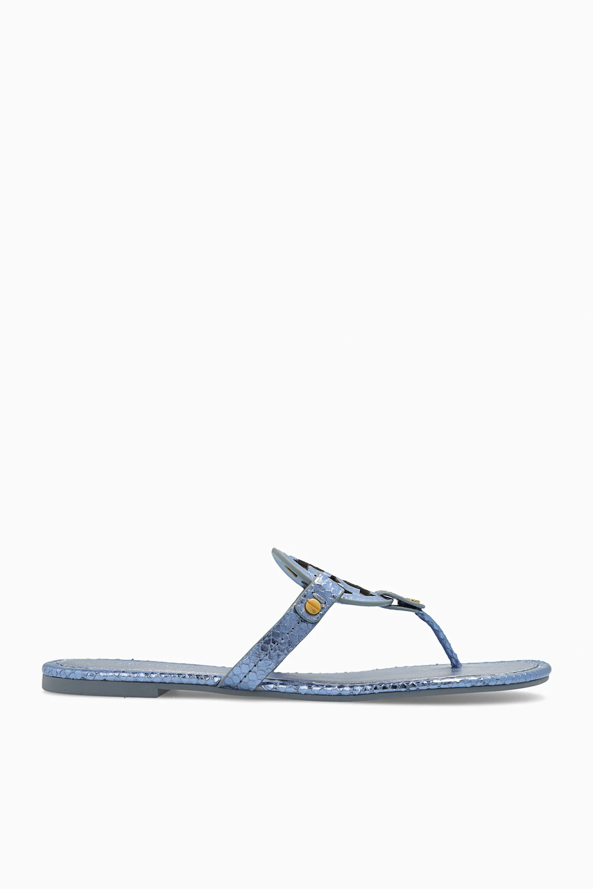 BLUE ‘Miller’ slides