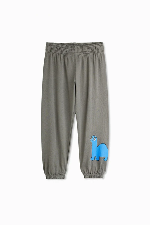 GREY "Dino" pants