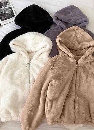 BRAUN Wool coat