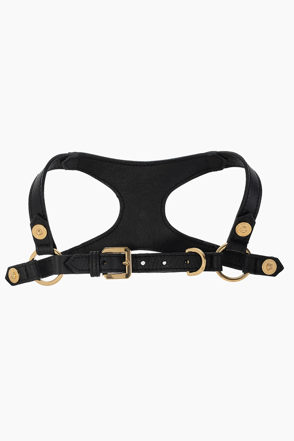 SCHWARZ Dog harness