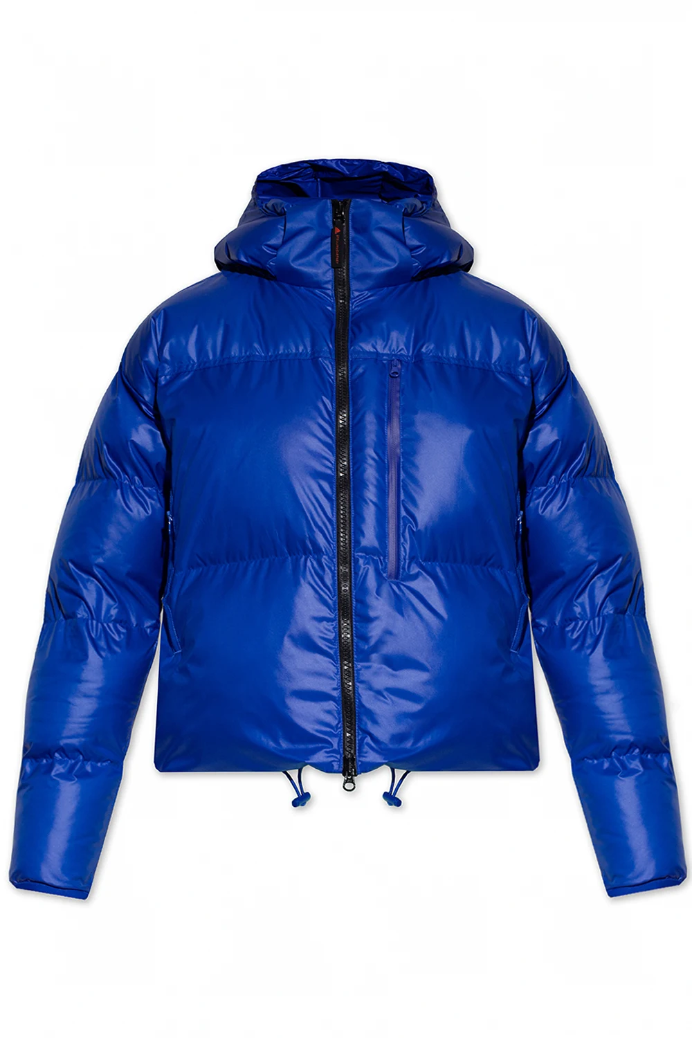 BLUE Insulated hooded jacket