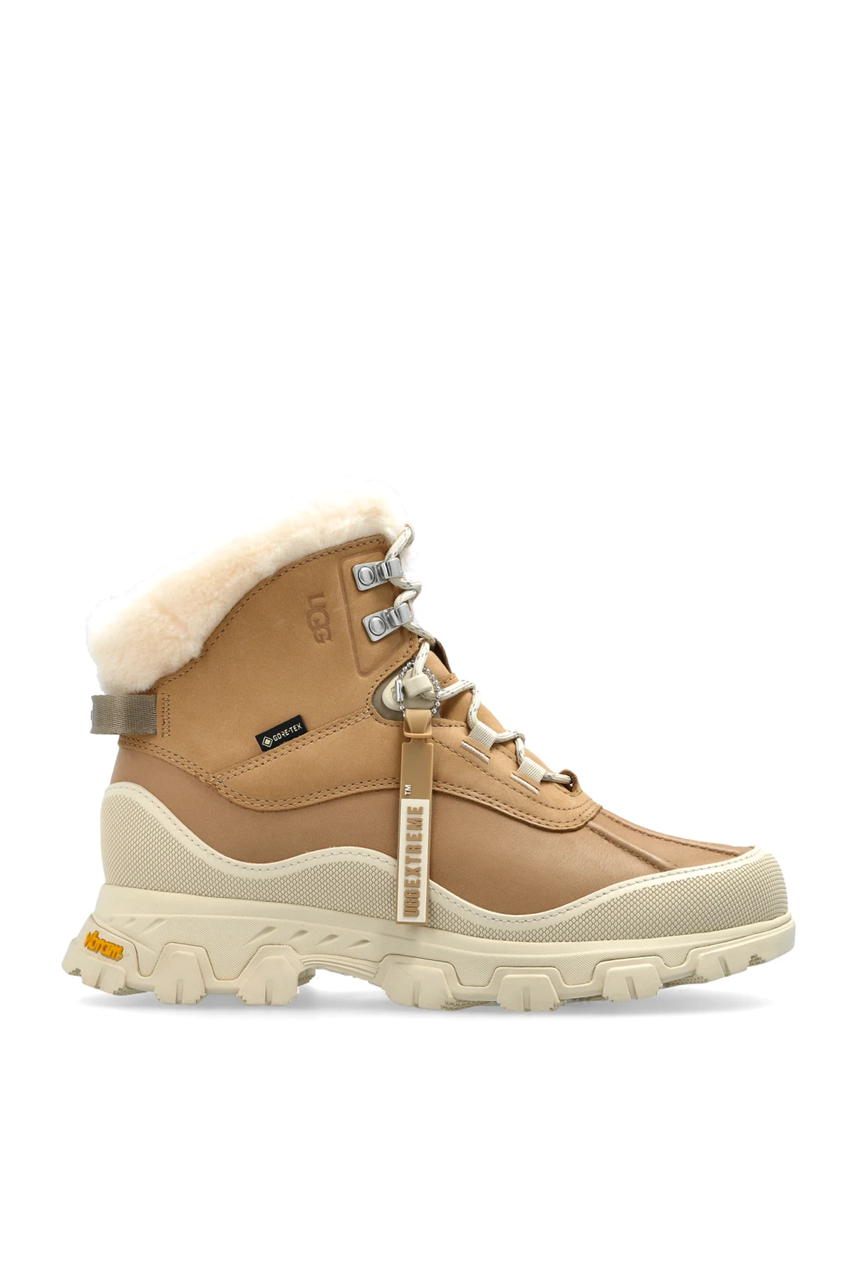 Śniegowce ‘Adirondack Meridan Hiker’
