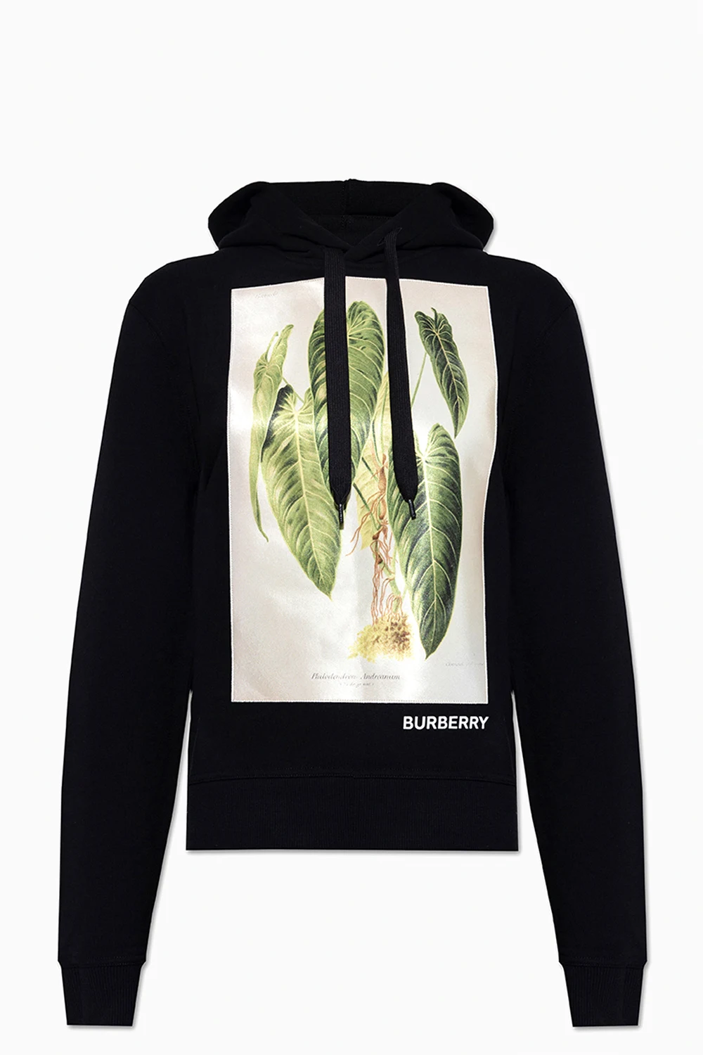 ‘Poulter Botanical’ hoodie