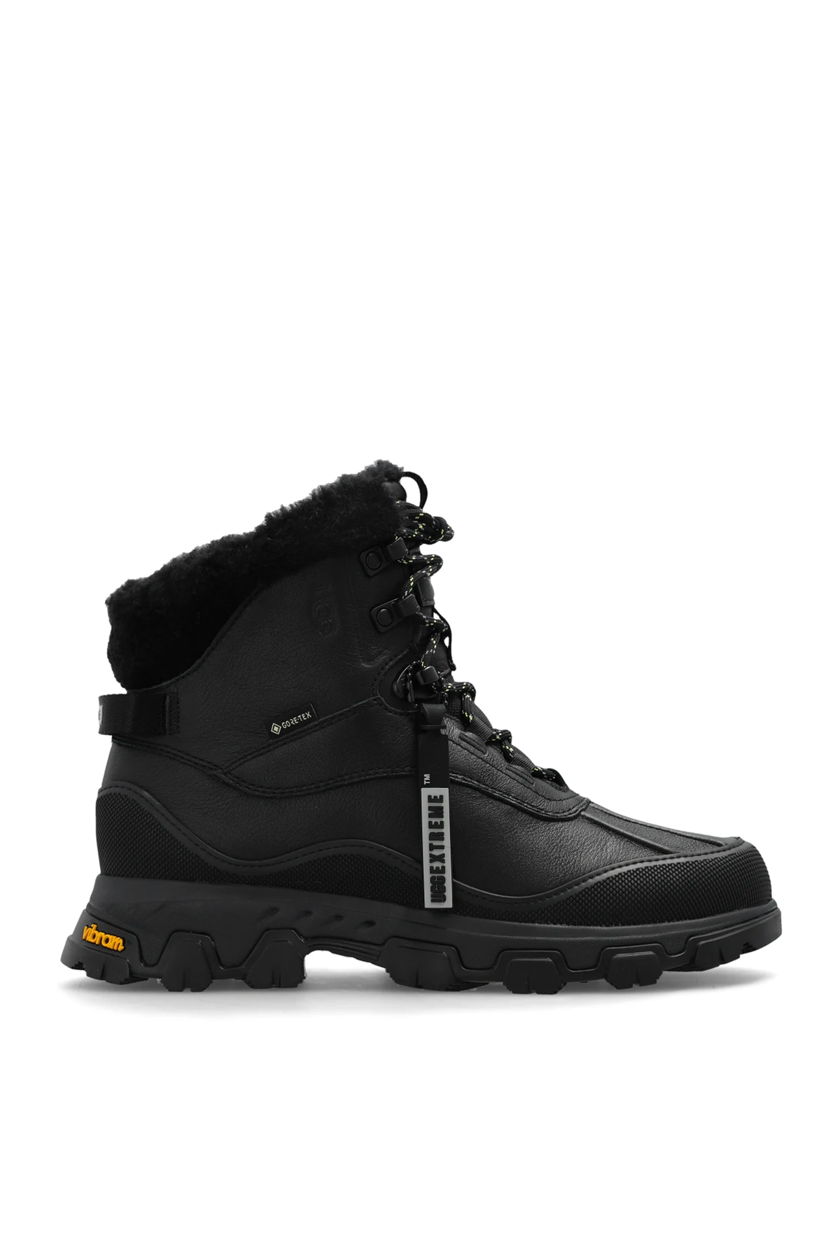 Śniegowce ‘Adirondack Meridian Hiker’