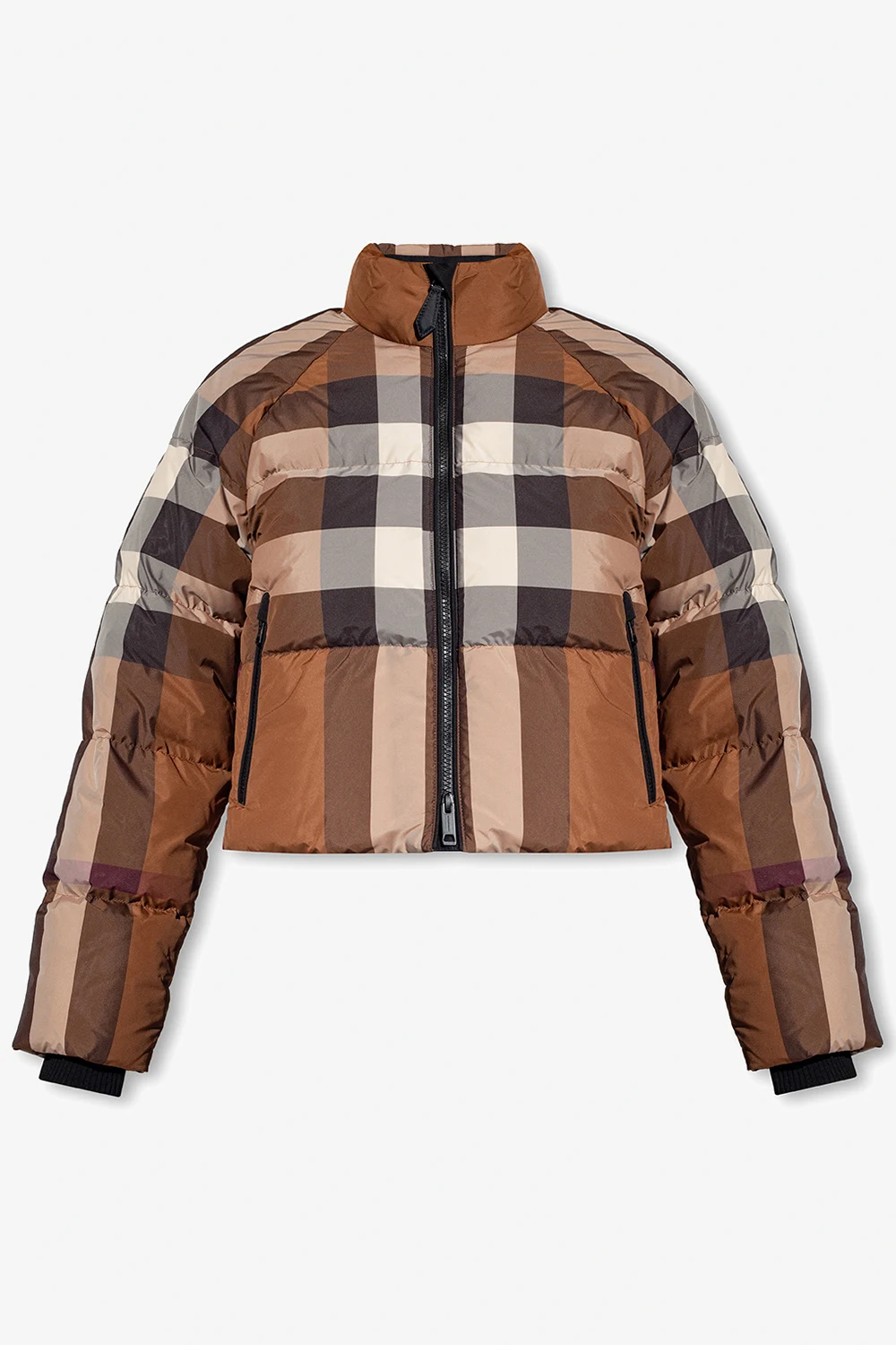 ‘Shamchk’ jacket