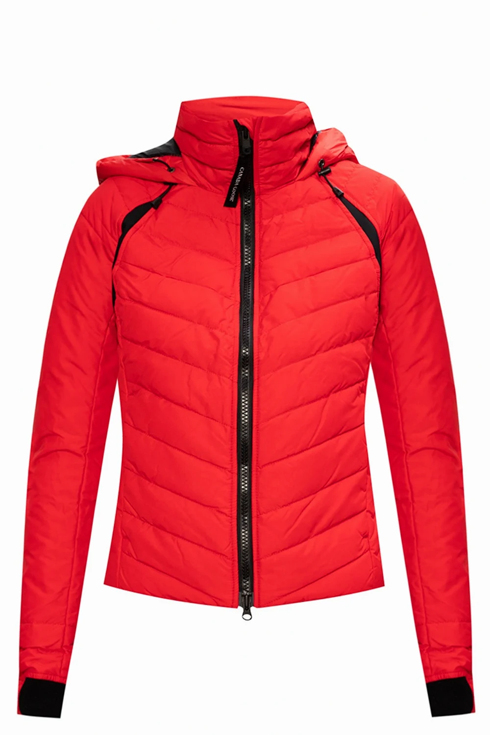 ‘Hybridge’ logo-patched jacket