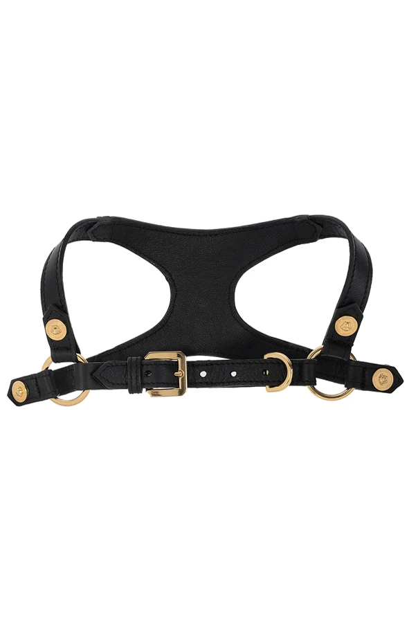 SCHWARZ Dog harness
