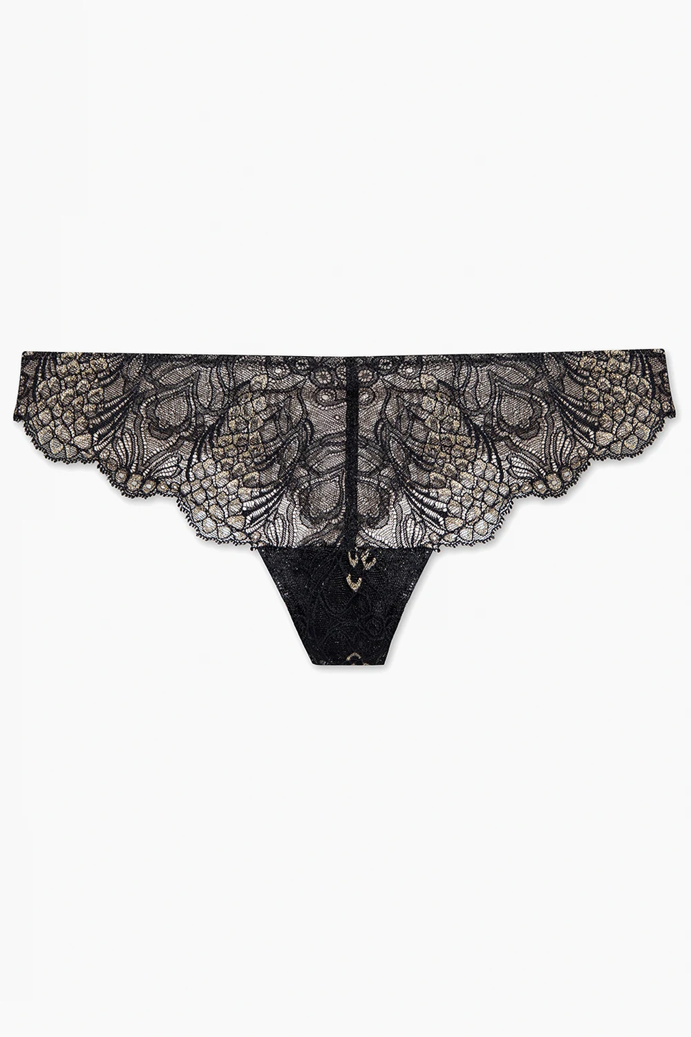 Stringi ‘Lilova’