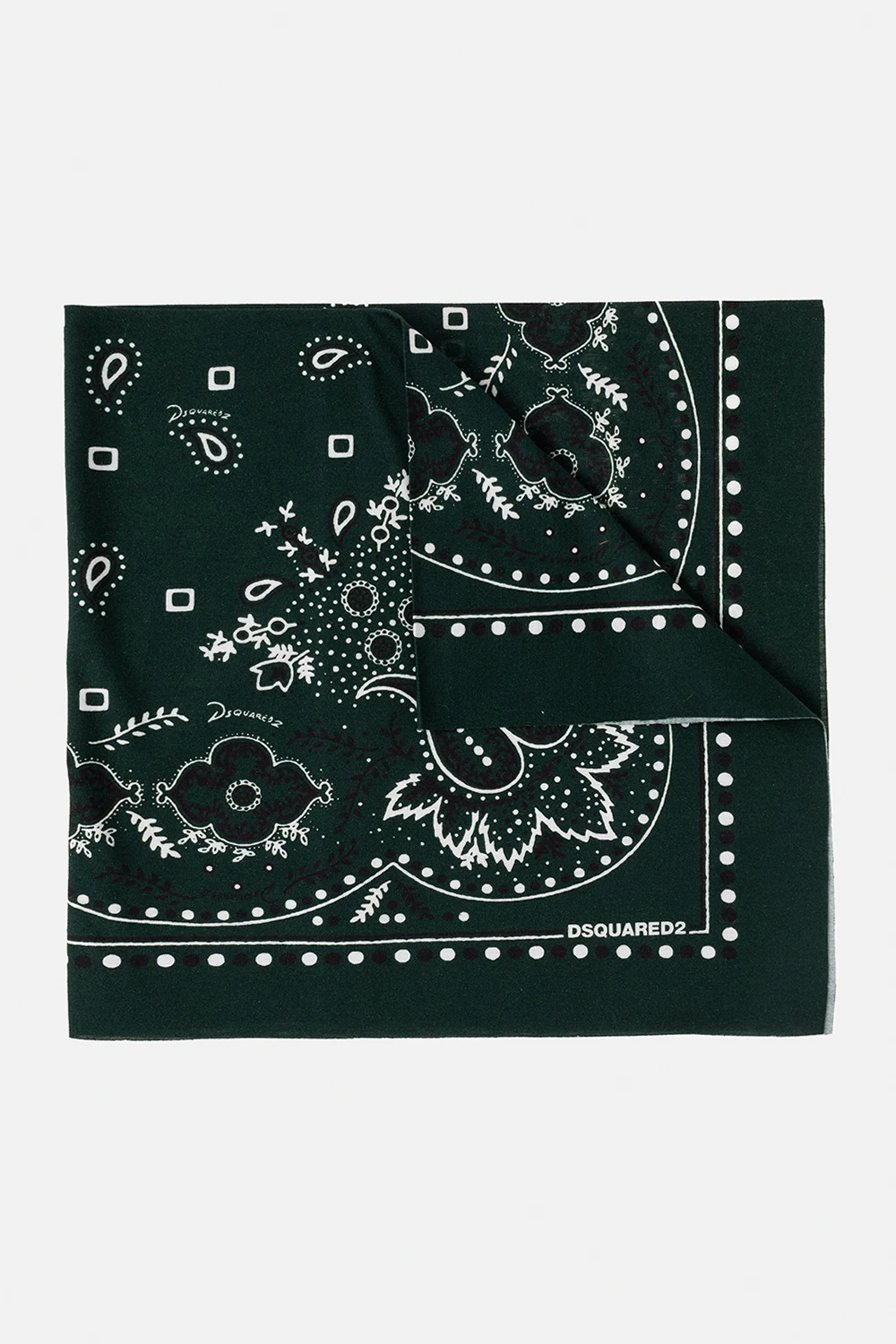 Paisley shawl