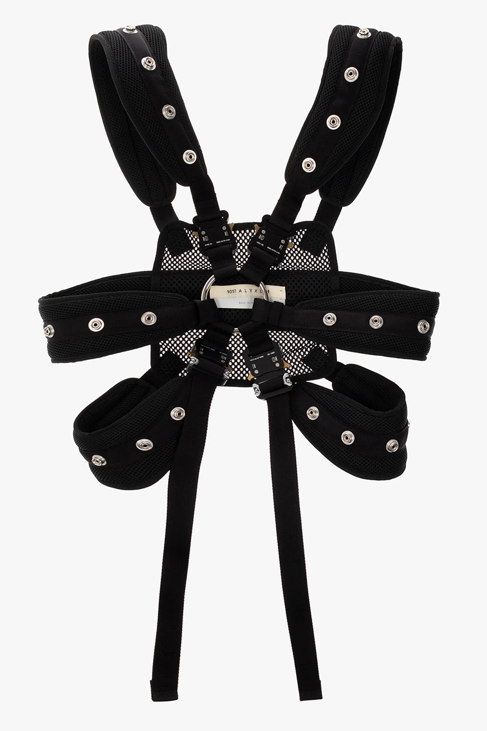 Harness with buckles