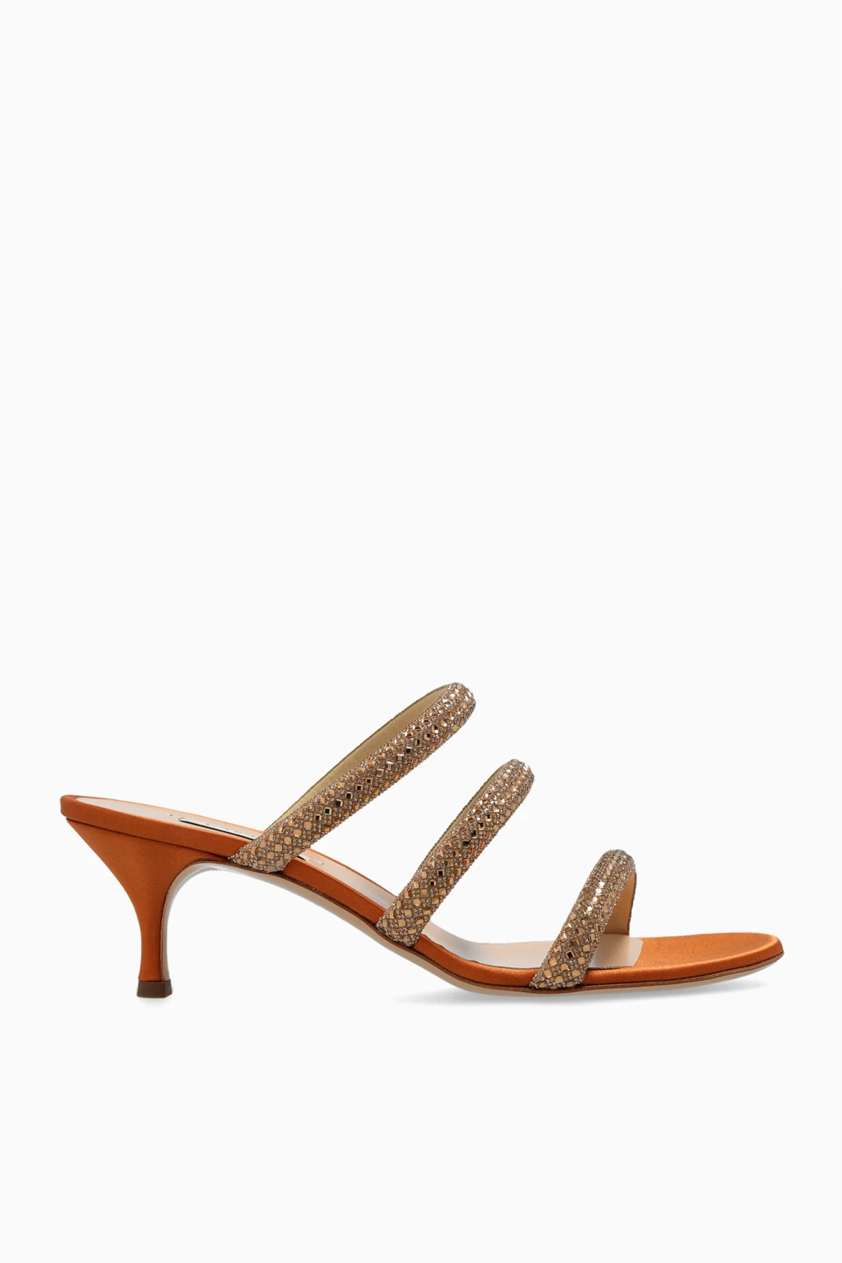 ‘Scarlet Stratosphere’ mules