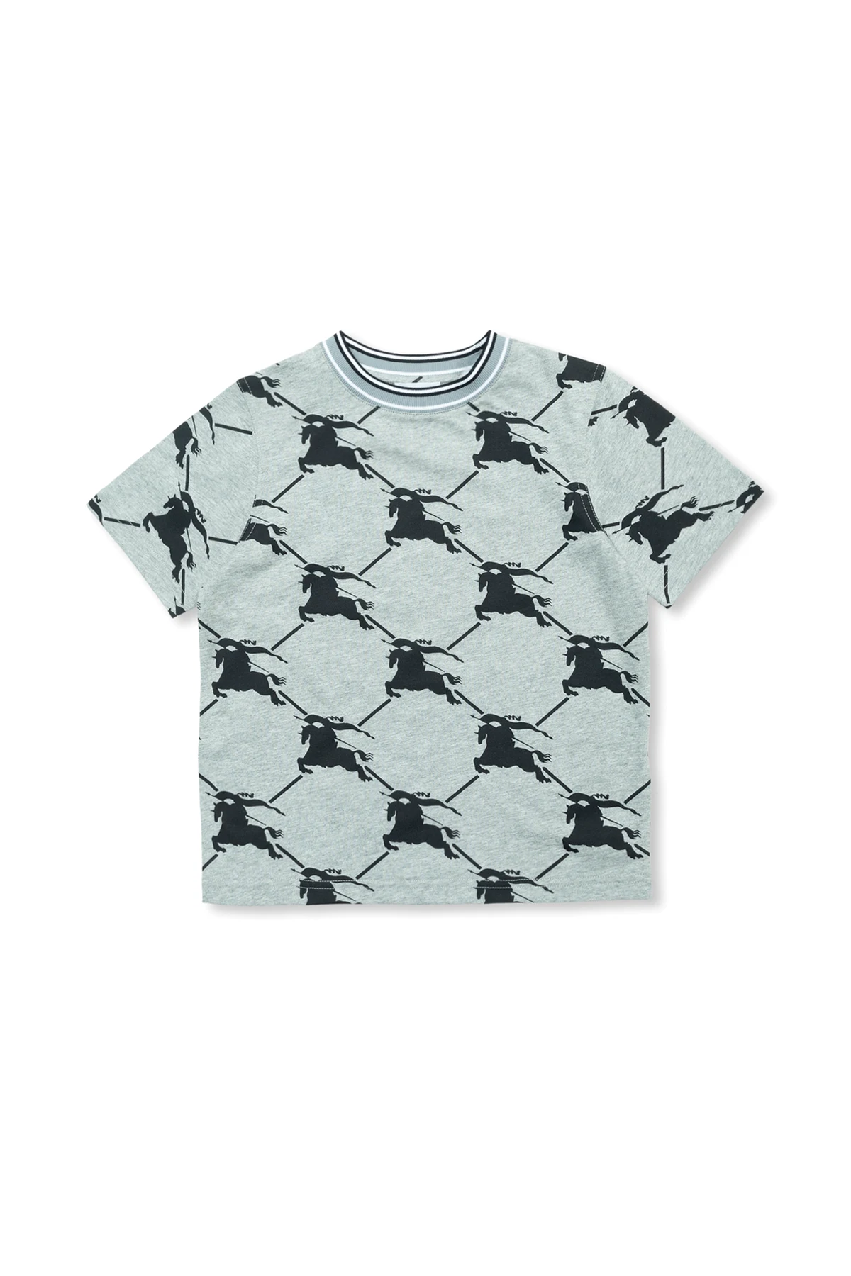 T-shirt ‘Alexander’