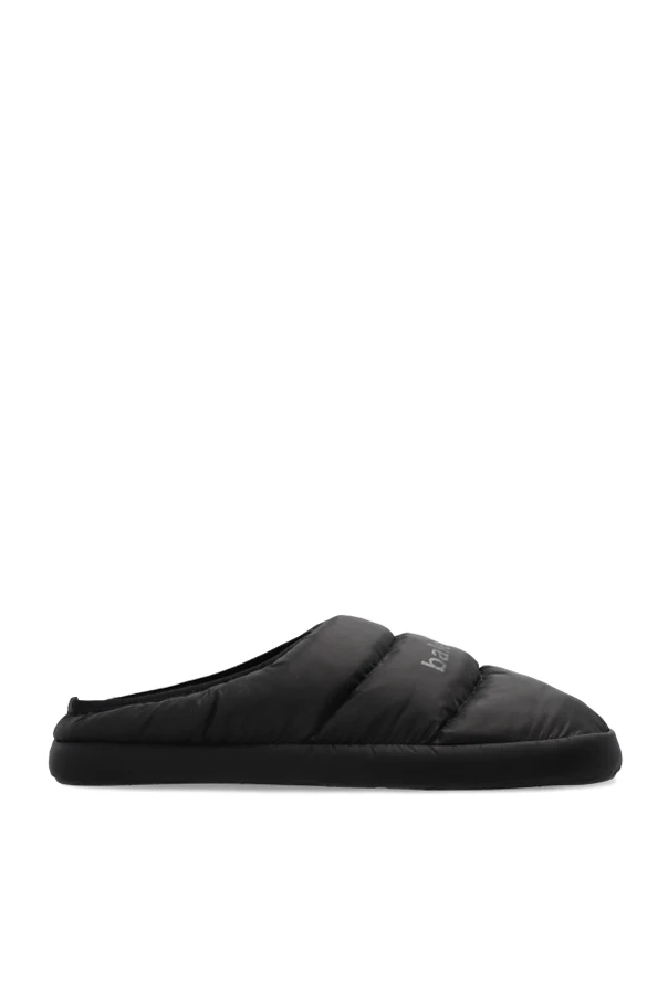 BLACK Slides Alaska