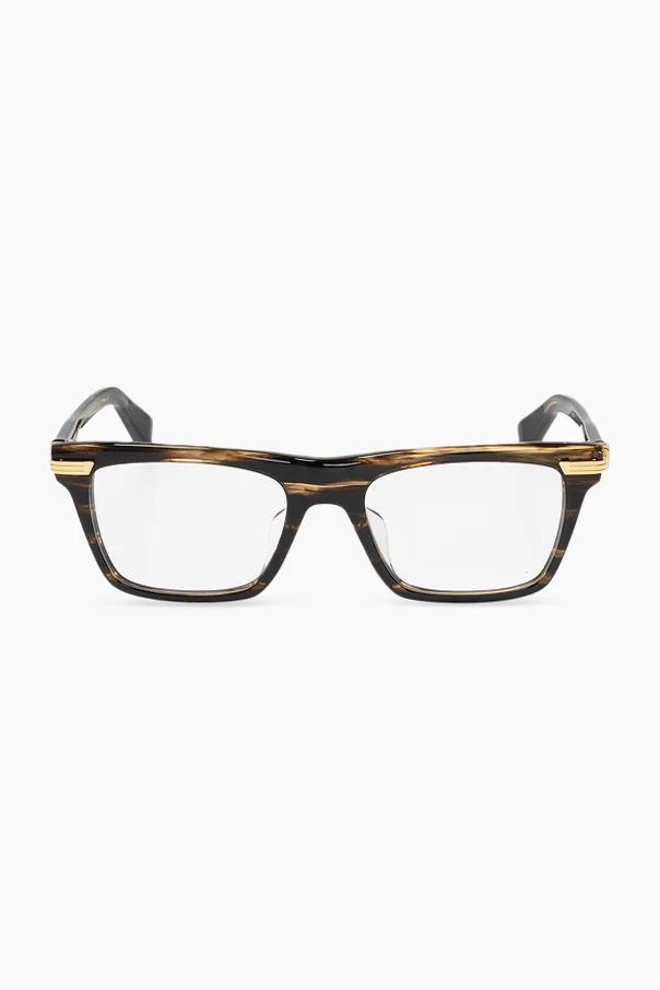 SCHWARZ Optical glasses