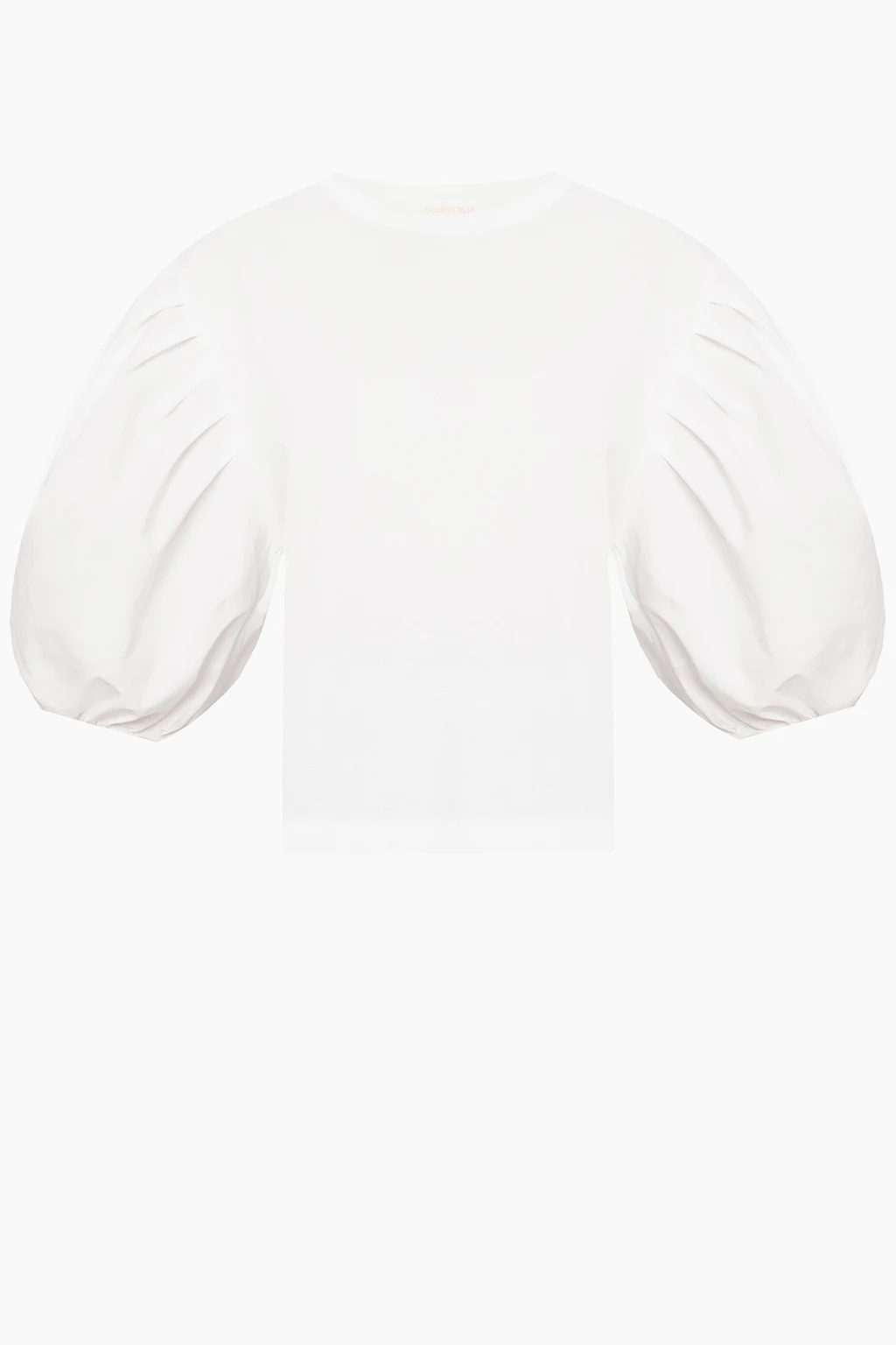 Top with puffed sleeves