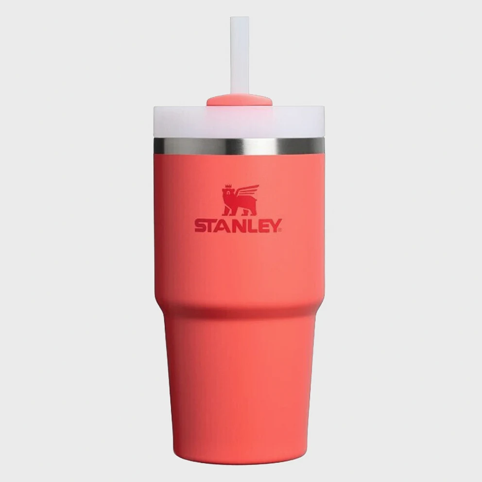 The Quencher H2.O FlowState™ Thermos Cup 591ml