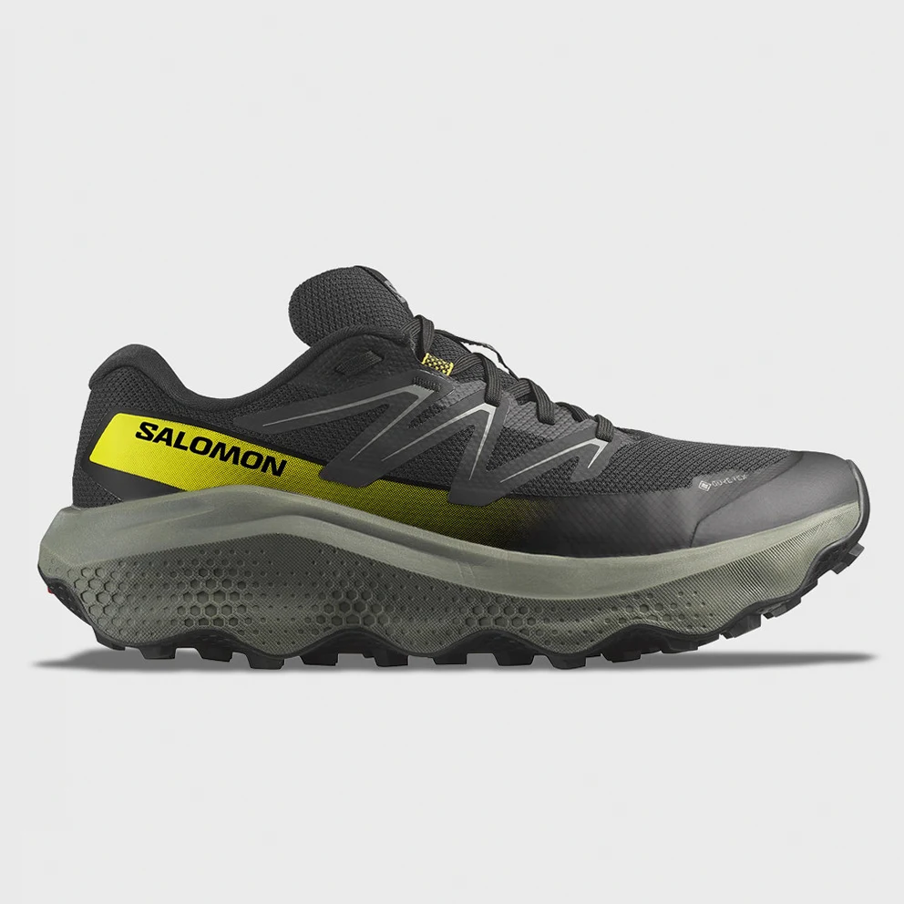 Ultra Flow 2 GORE-TEX Men's Trail Shoes