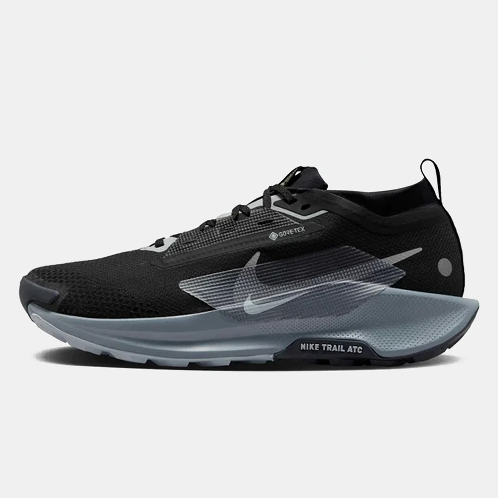Pegasus 5 Gore-Tex Men's Trail Shoes