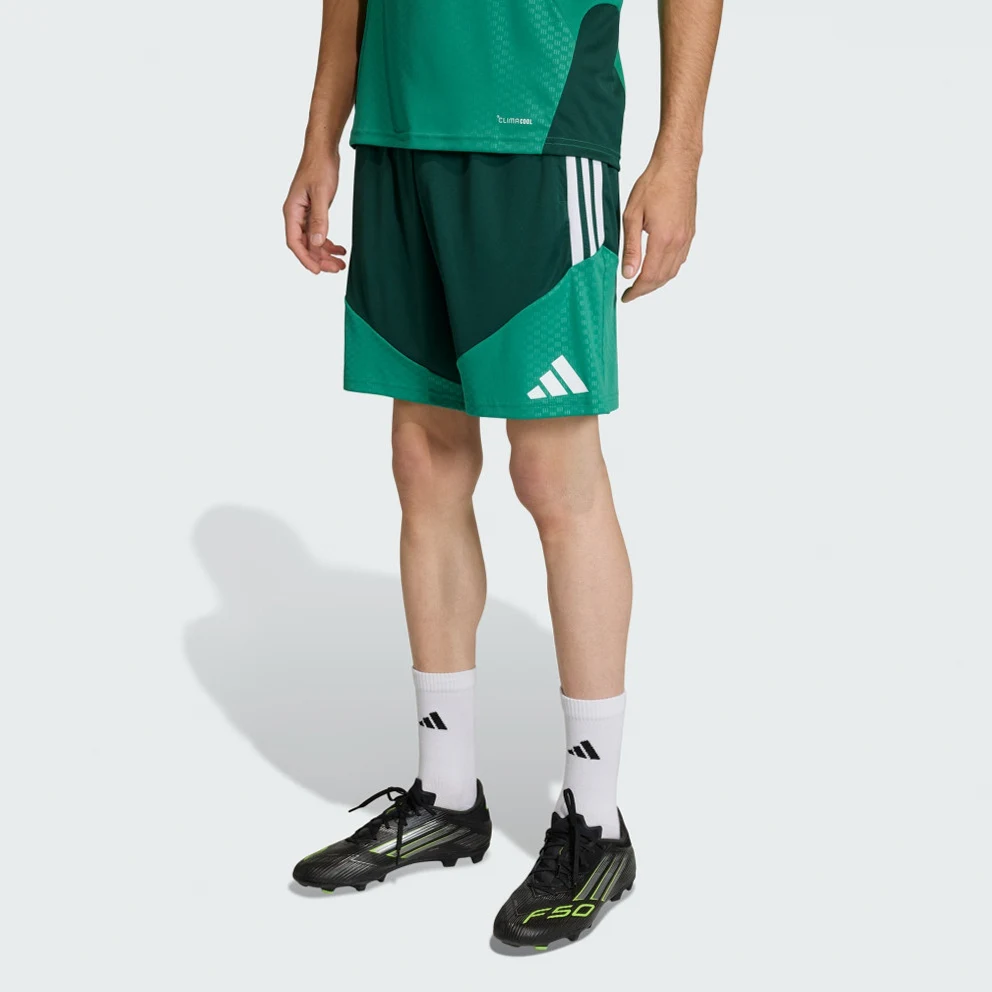 M Algeria 26 Training Shorts