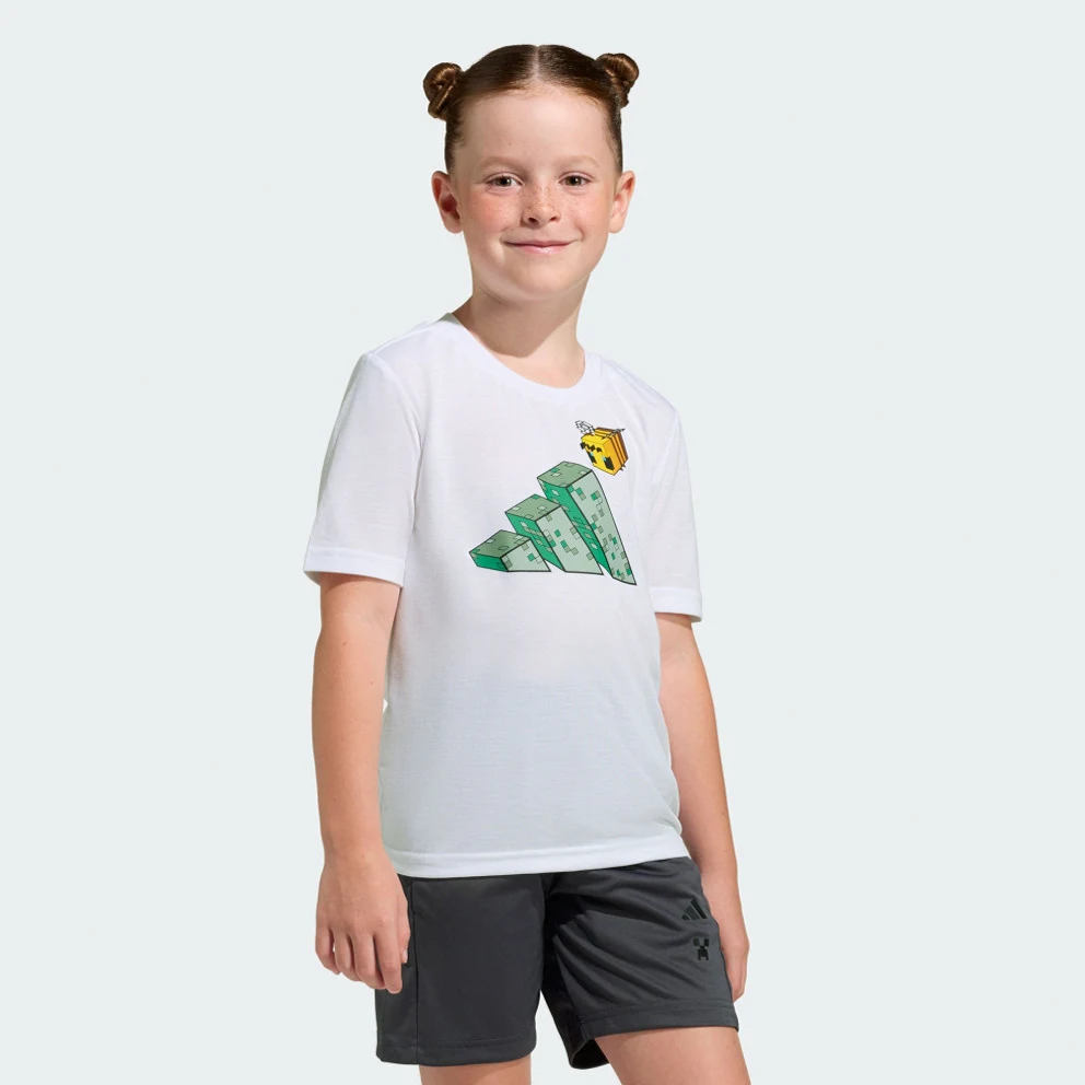 K Minecraft Training Summerset