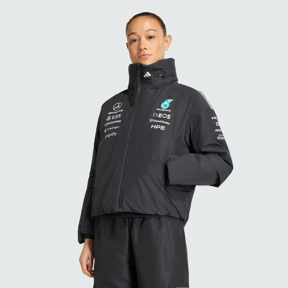 W Mercedes - Amg Petronas F1 Team Engin