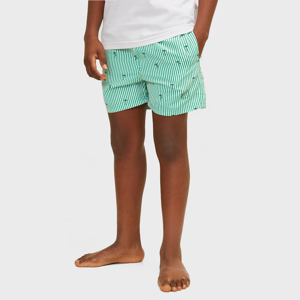 Men's Shorts Swimsuit