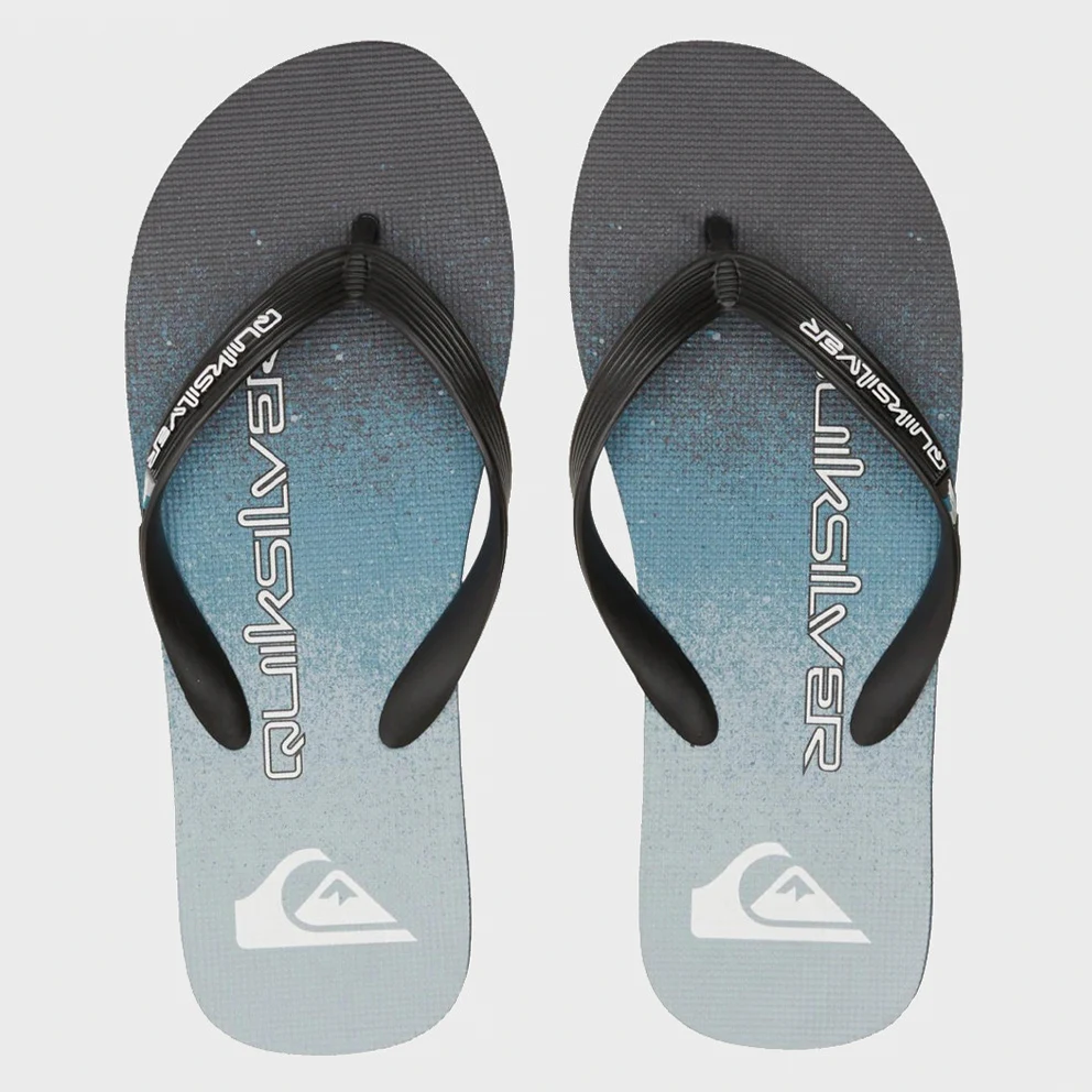 Molokai Art Ii Men's Flip Flops