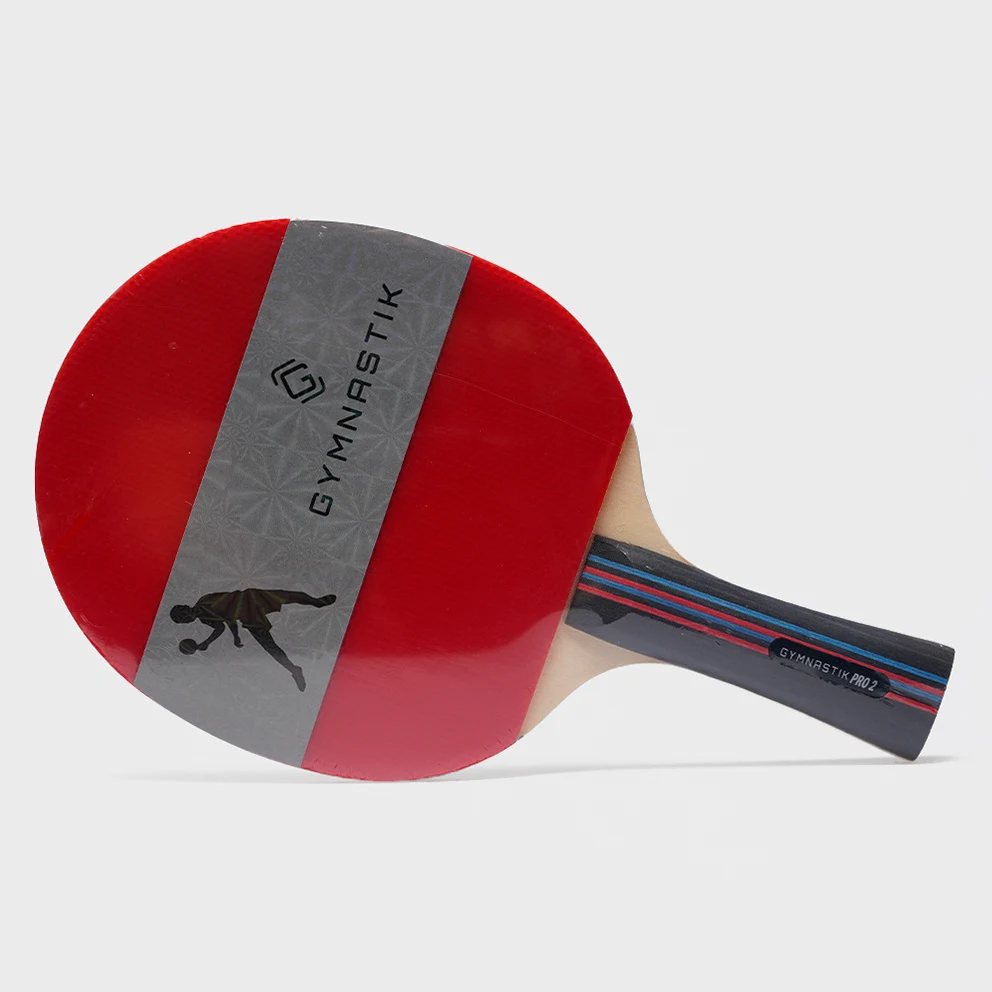 Pro 2 Ping Pong Racket