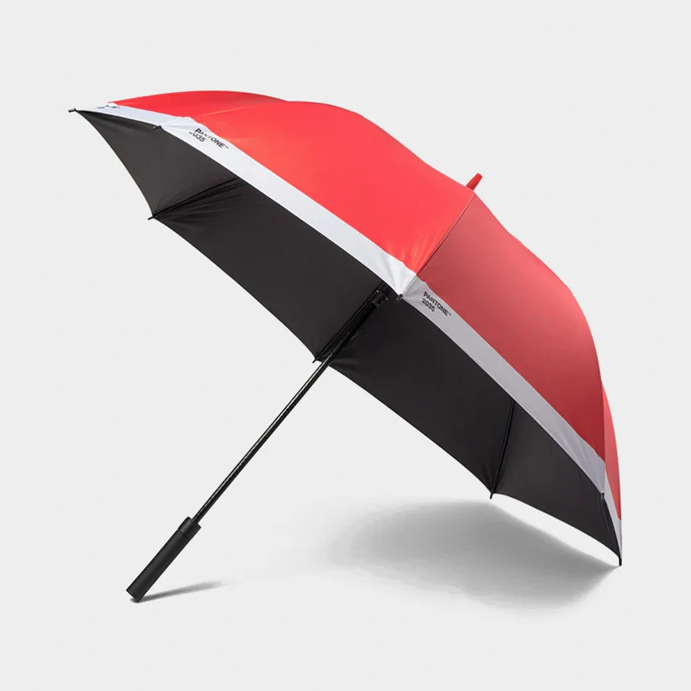 Large Umbrella