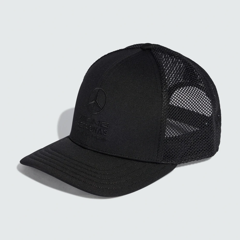 Mercedes - Amg Petronas F1 Night Trucker