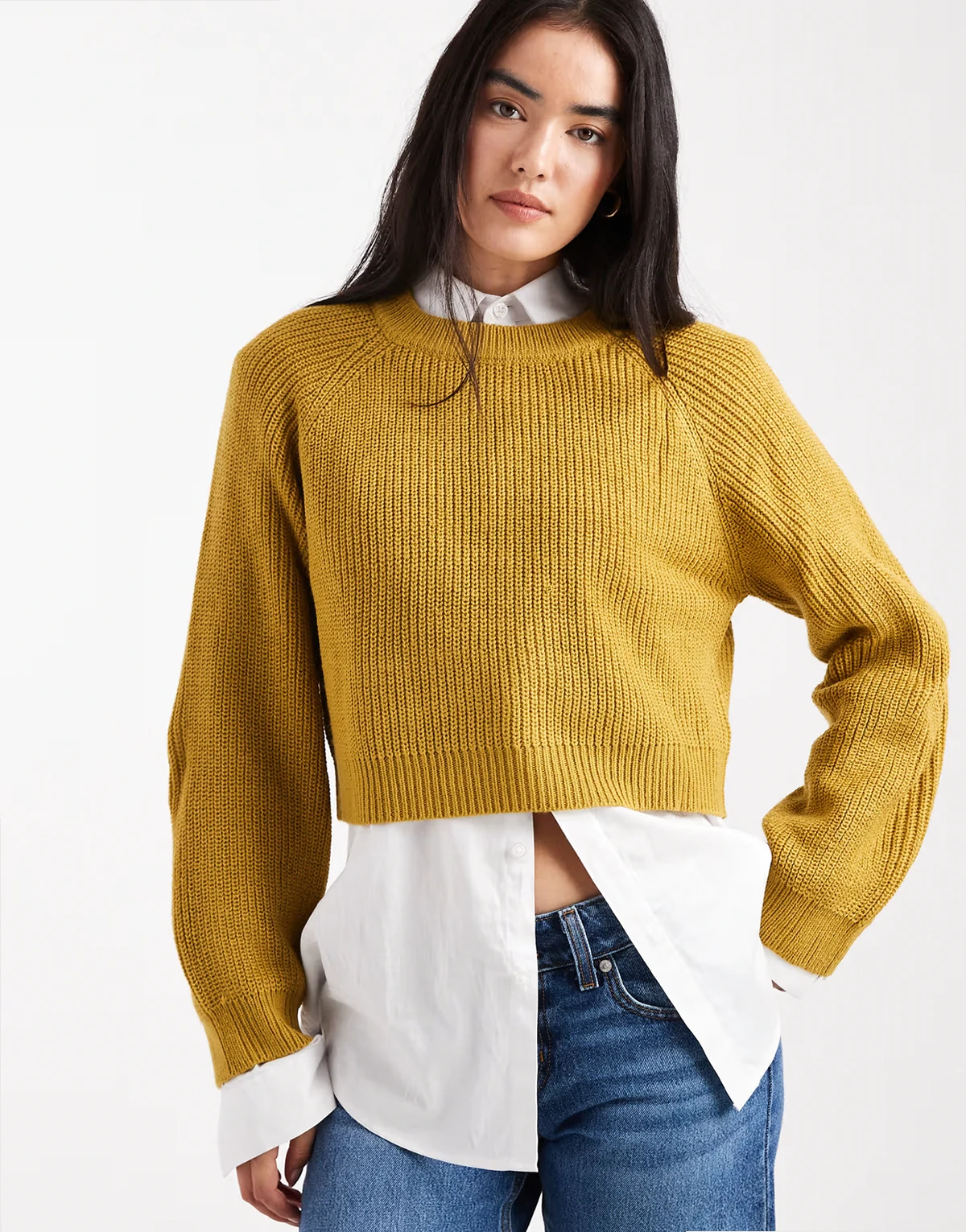 cropped knit crew neck sweater in olive green