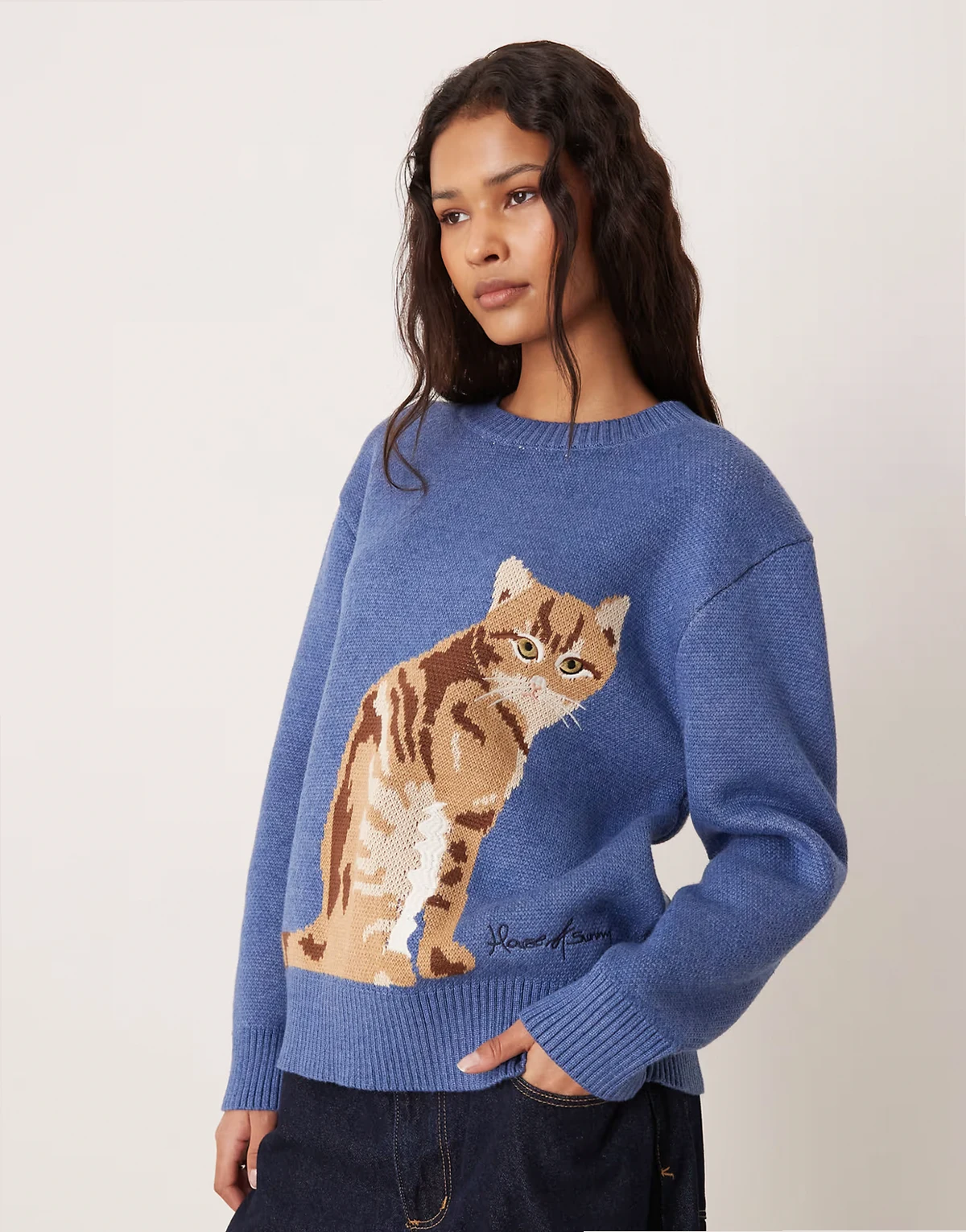 ginger cat crew neck sweater in blue