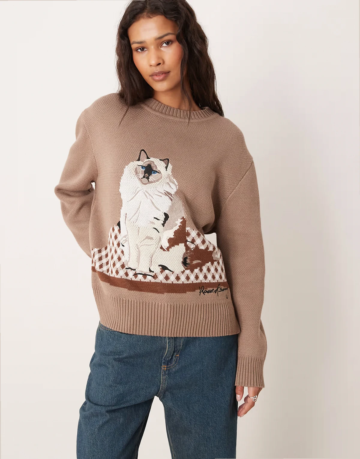 ragdoll cat crew neck sweater in taupe