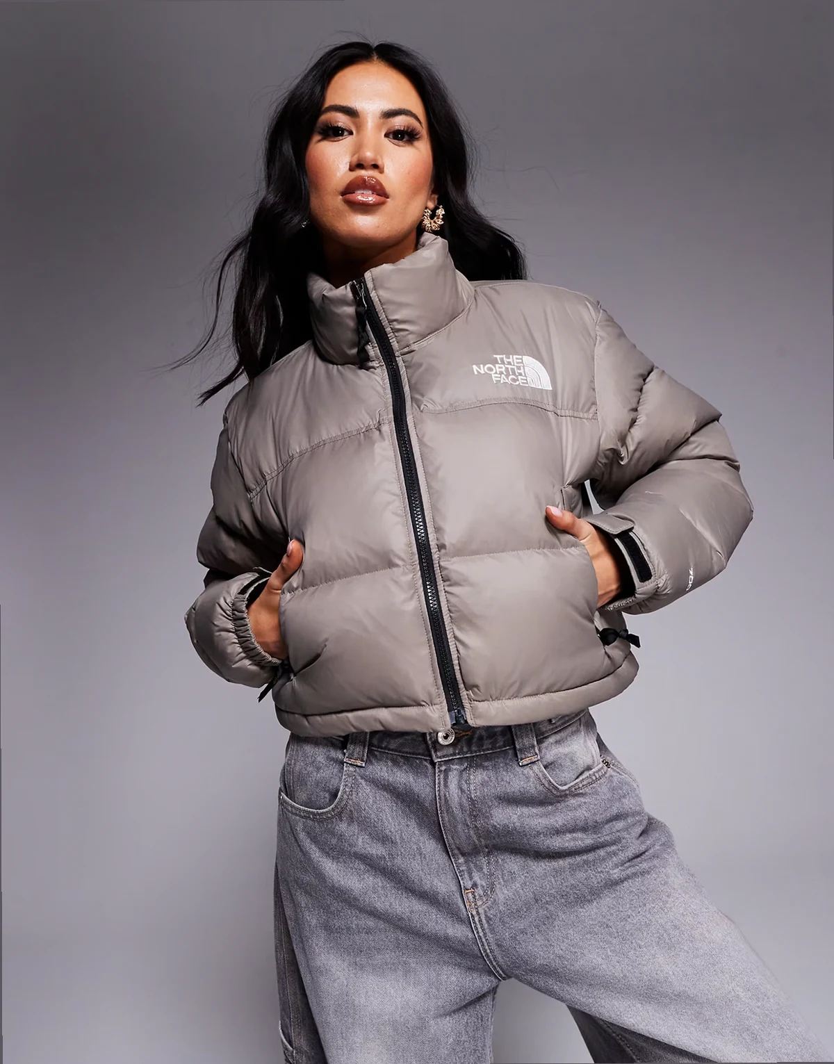Nuptse cropped Jacket in brown