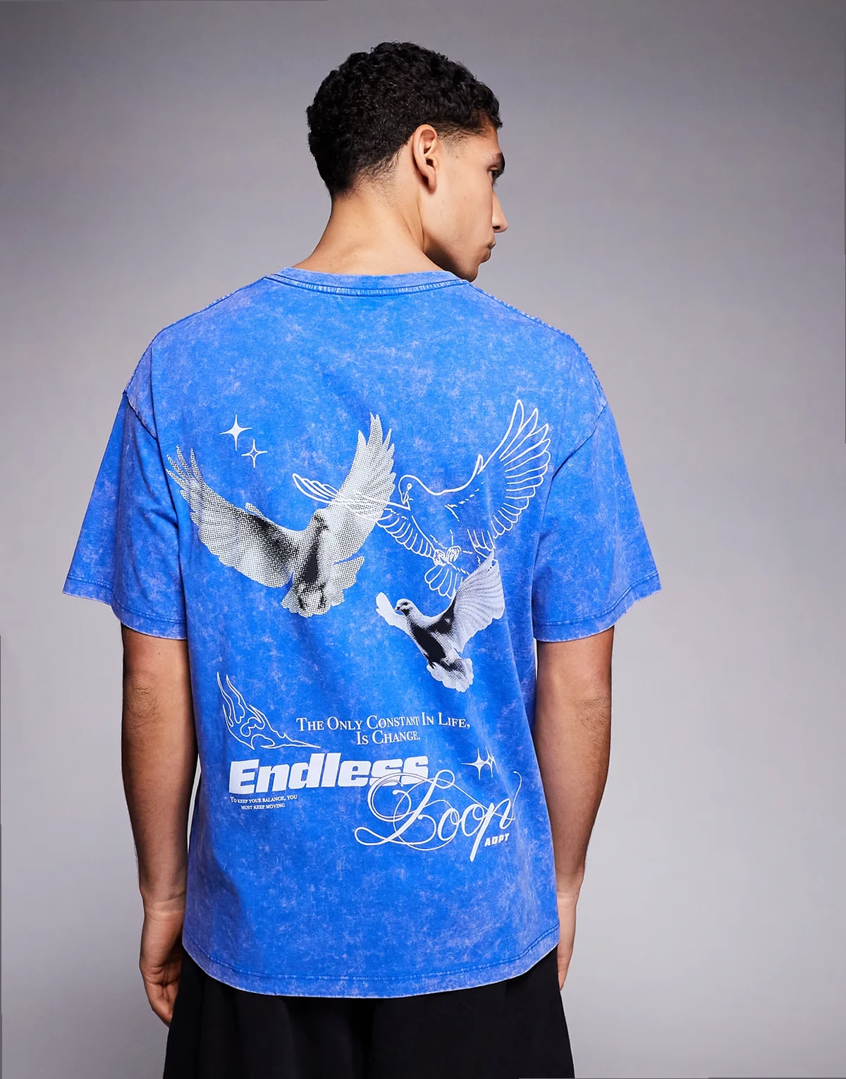 oversized t-shirt with bird back and chest prints in washed blue