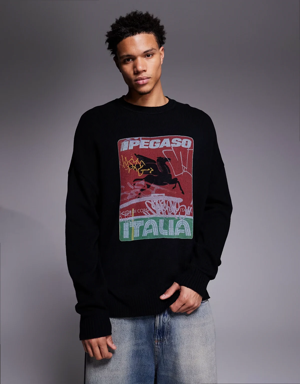 – Oversize-Strickpullover in Schwarz mit Rundhalsausschnitt und Ipegaso-Print